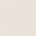 EBP6501P-EBP6502P-EBP6503P แกรนิตโต้/ตรม.370/กล่องละ576บ532.80บาท**จัดส่งฟรี 0