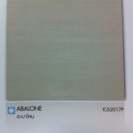 แกรนิตโต้ 60x60cm อะบาโลน / ABALONE (glossy) *1กล่อง=4แผ่น=1.44ตารางเมตร 0