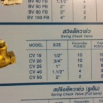 สวิงเช็ควาล์วทองเหลือง Sanwa  0