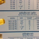 สวิงเช็ควาล์วทองเหลือง Sanwa 