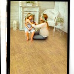 Catalog DIGITAL Technology Floor Tiles กระเบื้องบุผนัง โสสุโก้ ดิจิตอล 24x24" 60x60cm