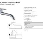 ก๊อกน้ำติดผนัง ออกผนัง ELBE*คลิกดูรายละเอียดเพิ่มเติมนะคะ
