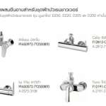 A-6110-978-901 ชุดฝักบัวเรนชาวเวอร์ รุ่น Moonshadow D250 (ไม่รวมก๊อกผสมยืนอาบ)