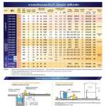 CP-255R ปั๊มน้ำมิตซูบิชิ 250 วัตต์ แบบธรรมดา *คลิกดูรายละเอียดเพิ่มเติม