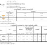 KENZAI กระเบื้องเคนไซ รุ่น Kenzai Plus*คลิกดูรายละเอียดเพิ่มเติม