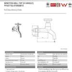 FFAST702-0T0500BT0 ก๊อกน้ำเย็นแบบติดผนัง รุ่น Winston