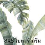 กระเบื้องเซรามิค ปูพื้นและผนัง 8x8" | 20x20cm โบทาร่า กรีน 1กล่อง25แผ่น*คลิกดูรายละเอียดเพิ่มเติมนะคะ 0