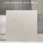 คลิกเลย SWAN กระเบื้องผิวมันปูพื้น เกรด A ลายหงส์เอเซีย ขาว ตราหงส์ ขนาด 60 x 60 cm. 0