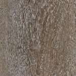 LT 18x122 ลูเซีย โอ๊ค 5704(4.0/0.3 mm.) By COTTO