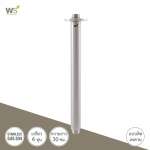 WS-8951-30 ก้านต่อหัวฝักบัวอาบน้ำ 30 ซม. แบบติดเพดาน 0