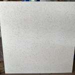 RCI 60 x 60 กระเบื้องพอร์ซเลน PICO WHITE พิโค่ ไวท์ ผิวหน้าหยาบ *คลิกดูรายละเอียดเพิ่มเติมนะคะ 0