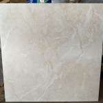 RCI 60 x 60 กระเบื้องพอร์ซเลน SALEM เซเลม ผิวหน้าหยาบ *คลิกดูรายละเอียดเพิ่มเติมนะคะ 0