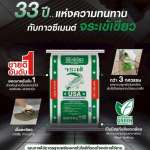 คลิกเลย กาวซีเมนต์ จระเข้เขียว กาวคุณภาพมาตรฐานอเมริกา ขวัญใจช่างไทย ยอดขายอันดับ 1 