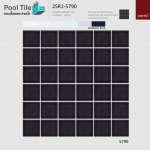 MT 2SR1-5790 (NET/PACK 10) PM *คลิกดูรายละเอียดเพิ่มเติมนะคะ 0