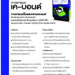 K-BOND Sand Grout สีเทา ยาแนวสูตรผสมทราย สูตรกันเชื้อราและทนต่อสารเคมี ขนาด 20 กก./ถุง