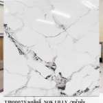 คลิกเลย BIRDY กระเบื้องเซรามิคชนิดเคลือบ เกรด A ตรานก ขนาด 40 x 40 cm. ลายนกลิลลี่ 0