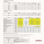 CAMPANA กระเบื้องปูพื้น FLOOR TILES 20 x 20 cm. | 12" x 12" *คลิกดูรายละเอียดเพิ่มเติมนะคะ