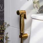 RA 101021-GOLD ชุดสายฉีดชำระ พร้อมสายและขอแขวนครบชุด MATT GOLD 