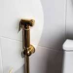 RA 101031-GOLD ชุดสายฉีดชําระ พร้อมสายและขอแขวนครบชุด MATT GOLD 