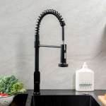 RA BLACK-PREME ก๊อกซิงค์ล้างจานน้ำเย็น คอสปริง MATT BLACK