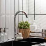 RA 99881 ก๊อกซิงค์ล้างจานน้ำเย็น โครเมี่ยม