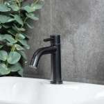 RA A121-A55-BK ก๊อกล้างหน้าน้ำเย็น สแตนเลส สีดำ