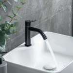 RA A121-A55-BK ก๊อกล้างหน้าน้ำเย็น สแตนเลส สีดำ