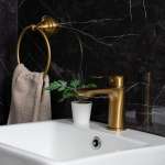 RA DB-90401G ก๊อกล้างหน้าน้ำเย็น DEXTER สี MATT GOLD