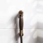 RA AST78989BK ชุดสายฉีดชำระ พร้อมสายและขอแขวนครบชุด MATT BRONZE 