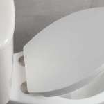 RA SEAT-ELG ฝารองนั่งพร้อมน็อตยึด แบบหน้ายาว