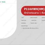 PREMA ฝักบัวพร้อมสาย 1 ฟังก์ชั่น (สีขาว)