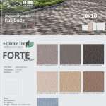 FORTE กระเบื้องพอร์ซเลนตกแต่งภายนอก ขนาด 10 x 10 / 21 x 21 / 15 x 15 / 10 x 21 cm. 0