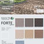 FORTE กระเบื้องพอร์ซเลนตกแต่งภายนอก ขนาด 10 x 10 / 21 x 21 / 15 x 15 / 10 x 21 cm.