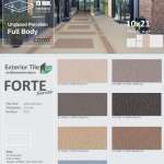 FORTE กระเบื้องพอร์ซเลนตกแต่งภายนอก ขนาด 10 x 10 / 21 x 21 / 15 x 15 / 10 x 21 cm.