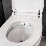 AQ SENSEI สุขภัณฑ์ชิ้นเดียว SENSEI (สุขภัณฑ์ไม่ใช้ไฟฟ้า ฟลัชตรงไม่ต้องเก็บน้ำ) AQ SENSEI สุขภัณฑ์ชิ้นเดียว SENSEI (สุขภัณฑ์ไม่ใช้ไฟฟ้า ฟลัชตรงไม่ต้องเก็บน้ำ)