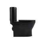 AQ 9999-BLACK สุขภัณฑ์ชิ้นเดียว MATT BLACK  AQ 9999-BLACK สุขภัณฑ์ชิ้นเดียว MATT BLACK