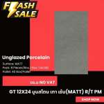 GT 12" x 24" มูนสโตน เทาเข้ม (MATT) R/T PM (WHITE BOX)*คลิกดูรายละเอียเพิ่มเติมนะคะ 0