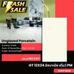 GT 12" x 24" อัลบาเนีย สโนว์ PM (WHITE BOX)*คลิกดูรายละเอียดเพิ่มเติมนะคะ 0