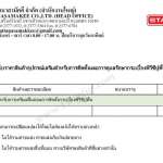 STARFLEX ตัวปั่นปูน *คลิกดูรายละเอียดเพิ่มเติมนะคะ