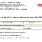 STARFLEX ด้ามเกรียง Self-Leveling Compound ขนาด 560 mm.*คลิกดูรายละเอียดเพิ่มเติมนะคะ