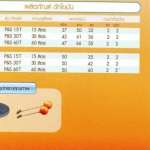 P&S ถังดักไขมัน ทรงกลม แบบฝังดิน ขนาด 30 ลิตร