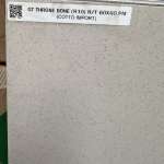 GT THRONE BONE (R10) R/T 60 x 60 PM (COTTO IMPORT)*คลิกดูรายละเอียดเพิ่มเติมนะคะ