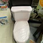 TF-2175-WT-0 สุขภัณฑ์แบบสองชิ้น ใช้น้ำ 6 ลิตร รุ่น ELLISSE PETITE (สี WHIPER PINK)