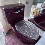 TF-2085-WT-0 สุขภัณฑ์แบบสองชิ้น ใช้น้ำ 13 ลิตร รุ่น ELLISSE PETITE (สี PENTHOUSE RED)