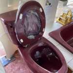 TF-2085-WT-0 สุขภัณฑ์แบบสองชิ้น ใช้น้ำ 13 ลิตร รุ่น ELLISSE PETITE (สี PENTHOUSE RED)