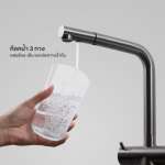 EVE ก๊อกน้ำอ่างล้างจาน ก๊อกน้ำ 3 ทาง ก๊อกน้ำผสมน้ำดื่ม TRINITY PLUS GUNMETAL EP