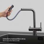 EVE ก๊อกน้ำอ่างล้างจาน ก๊อกน้ำ 3 ทาง ก๊อกน้ำผสมน้ำดื่ม TRINITY PLUS GUNMETAL EP