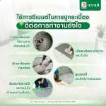 คลิกเลย กาวซีเมนต์ จระเข้ทอง (สำหรับโมเสกแก้ว) ปูนกาวเนื้อสีขาวเนียนปูโมเสกแก้ว กระเบื้องแก้ว