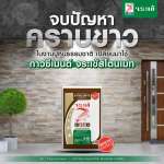 คลิกเลย กาวซีเมนต์ จระเข้สโตนเมท กาวซีเมนต์สำหรับปูหินอ่อน หินธรรมชาติ ลดการเกิดคราบขาว 0