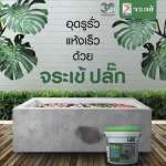 คลิกเลย จระเข้ ปลั๊ก ซีเมนต์แห้งเร็วอุดน้ำรั่ว ขนาด 1 กิโลกรัม